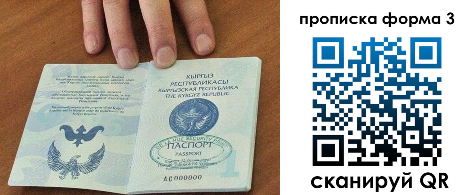 прописка 2025 в Данкове